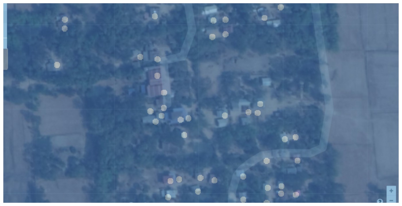 Satellite tile of a village with human-placed household tags shown as round markers.